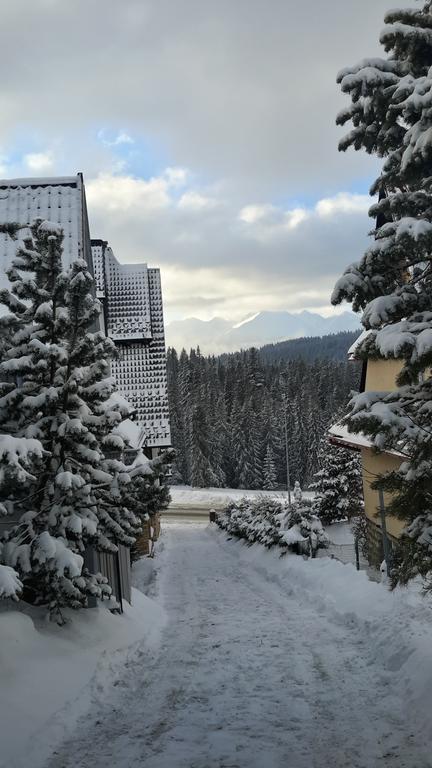 Appartamento U Siebie W Gorach II Bukowina Tatrzańska Esterno foto